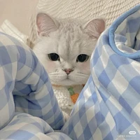 Wayy Đây Nò