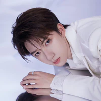 Hạ Tuấn Lâm