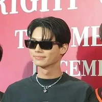 Win MetaWin