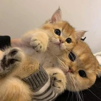 Nhân vật tổng hợp