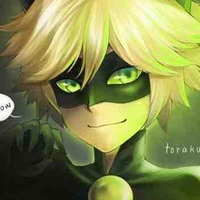 Chat noir