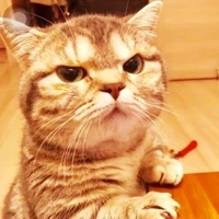 tác giả quyền năng