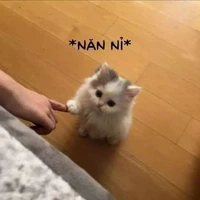 allanh nhà có mặt