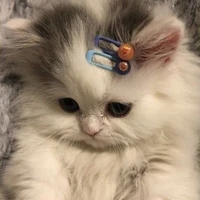 Cân mọi vai diễn