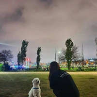 Trình Vân_ nhị tiểu thư No2