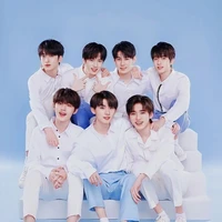 All Các anh