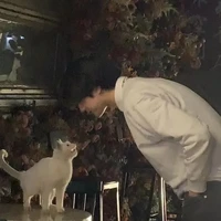 Aquarius Matthew ⸜ ♒︎