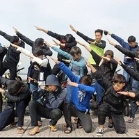 12 sao