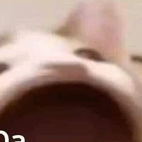 12 chòm sao + KA , AT, NN