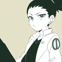 Nara Shikadai