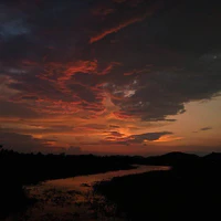 Cả lớp