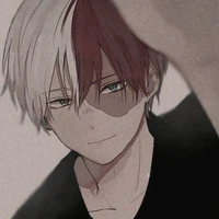 shoto todoroki(shoto)