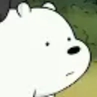Ice bear