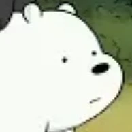Ice bear