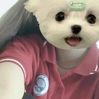 Tác giả