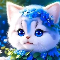 Katsumi neko- Hệ thống