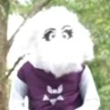 Toriel