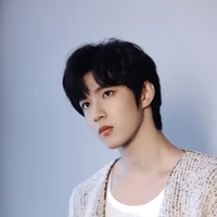 Lưu Diệu Văn