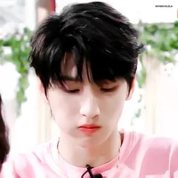 Nghiêm Hạo Tường