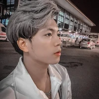 Mister Vịt [ Hoài Việt ]