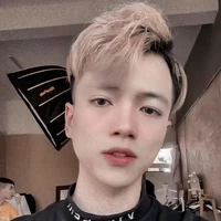 Mr vịt