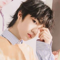 Tô Tân Hạo ( nguyên chủ )