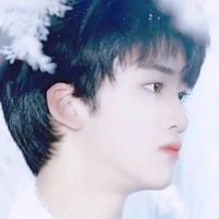 Đặng Giai Hâm