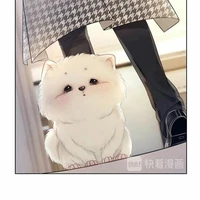 Koko