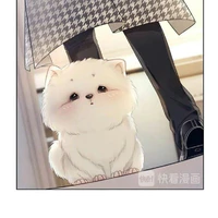 Koko