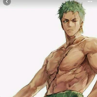 roronoa zoro ( zổ/ thánh mù đường)