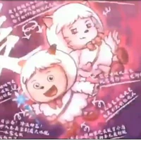 mèo ấm áp