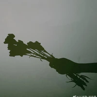 🐺文轩🐟- 刘亚儿🦝