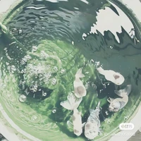 Tác Giả cute siêu hột me :3