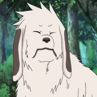 Akamaru