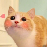 ~Ori~
