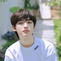 Đinh Trình Hâm