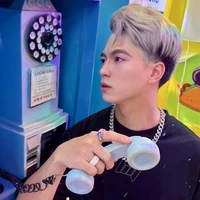 Hoài việt - Vịt