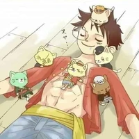 Cân mọi loại vai