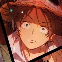 Monkey • D • Luffy