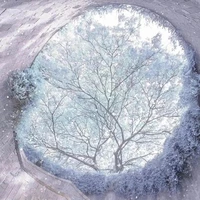 nhưng người ở thế giới khác