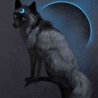 Moon(Nguyệt Vĩ)