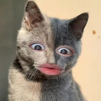 Tác giả ko biết chửi thề