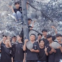 Cả team