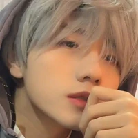 Phó Chính Sơ (đàn anh)