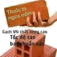 mẹ tác giả