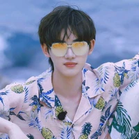 Đinh Trình Hâm