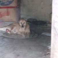 ？？？