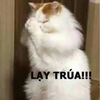 all