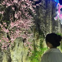 Téc giể^^