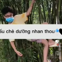 tác giả ✨😒